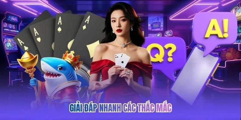 Giải đáp nhanh các thắc mắc 